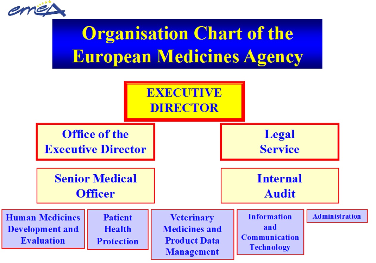 Ema Organisational Chart